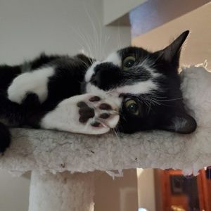 Meet your Posher, Nicole